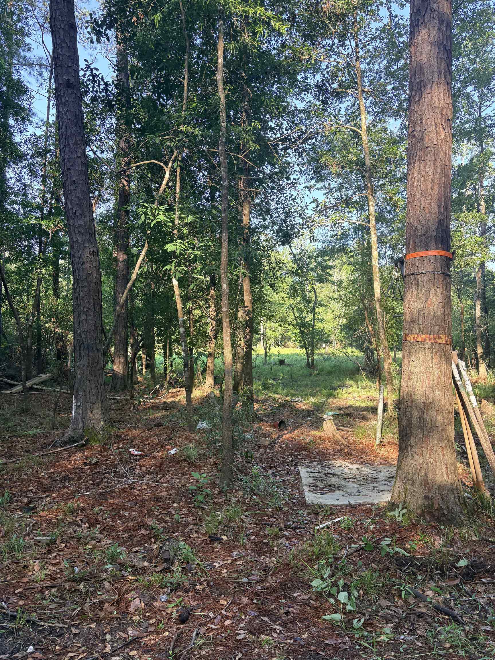 9470 Village Creek Road Silsbee, TX 77656 - Photo 17 of 21
