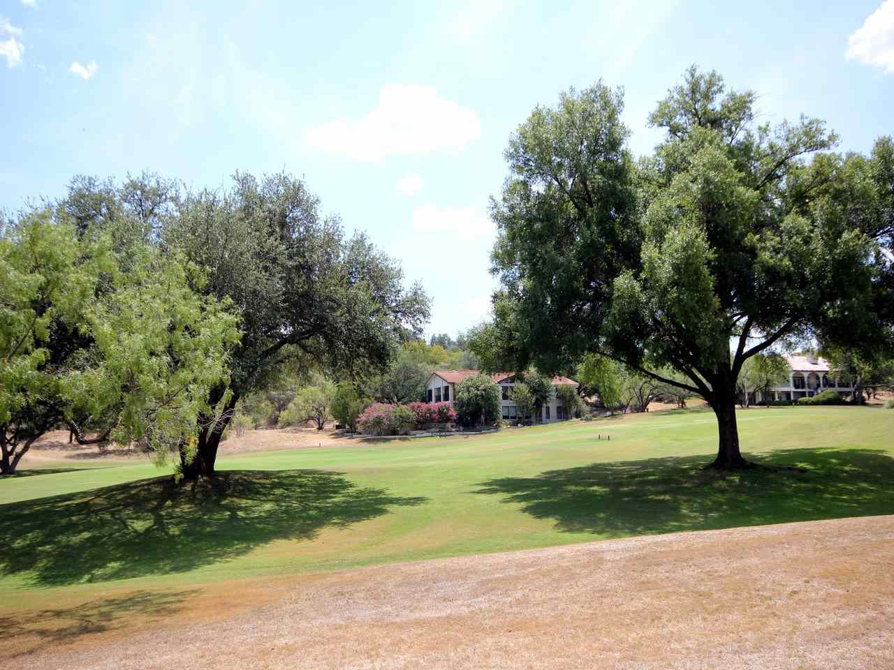 a view of a yard with of trees