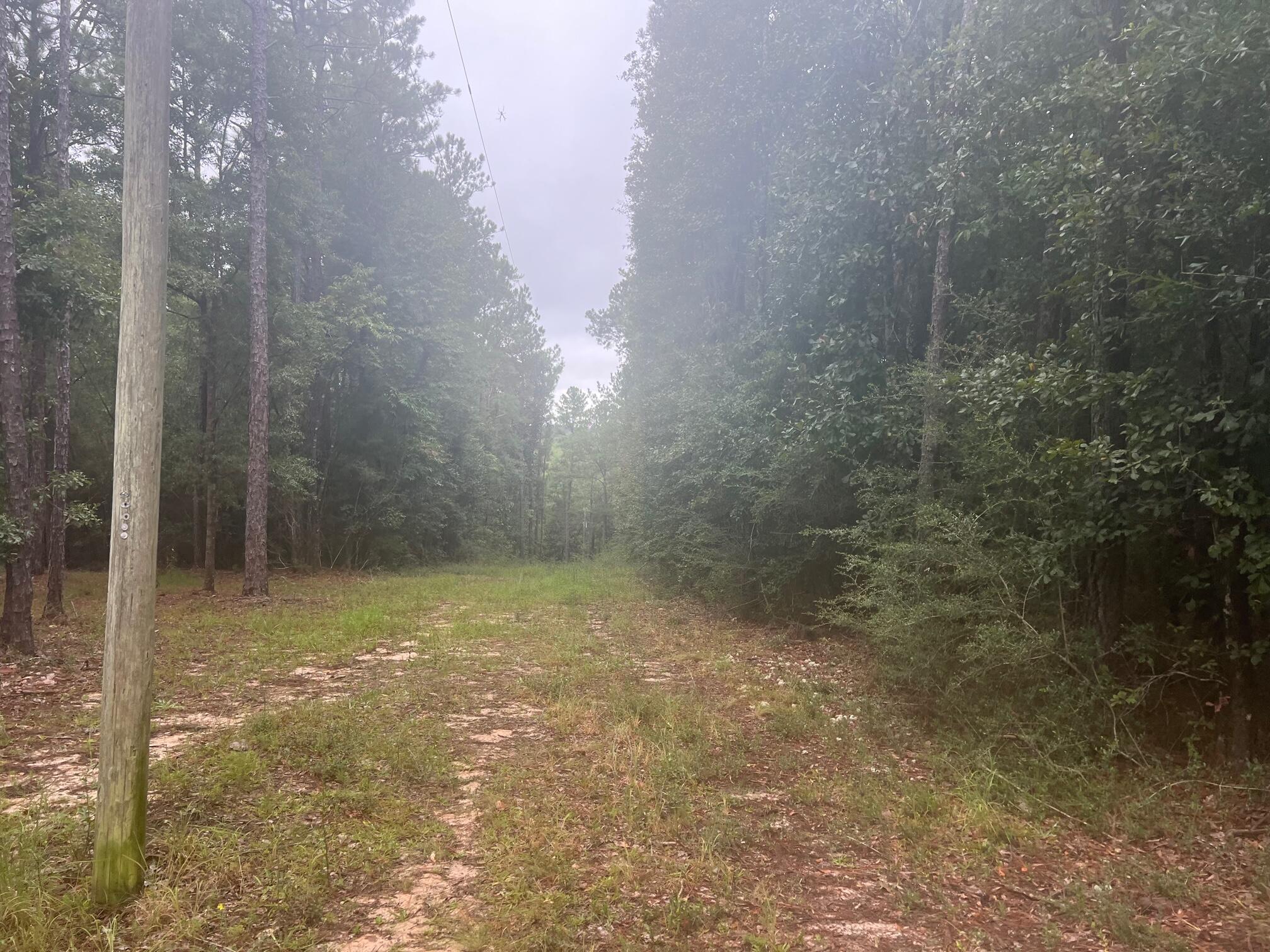 8.84-ac Crowder Chapel Road Crestview, FL 32539 - Photo 22 of 26 a view of a small space
