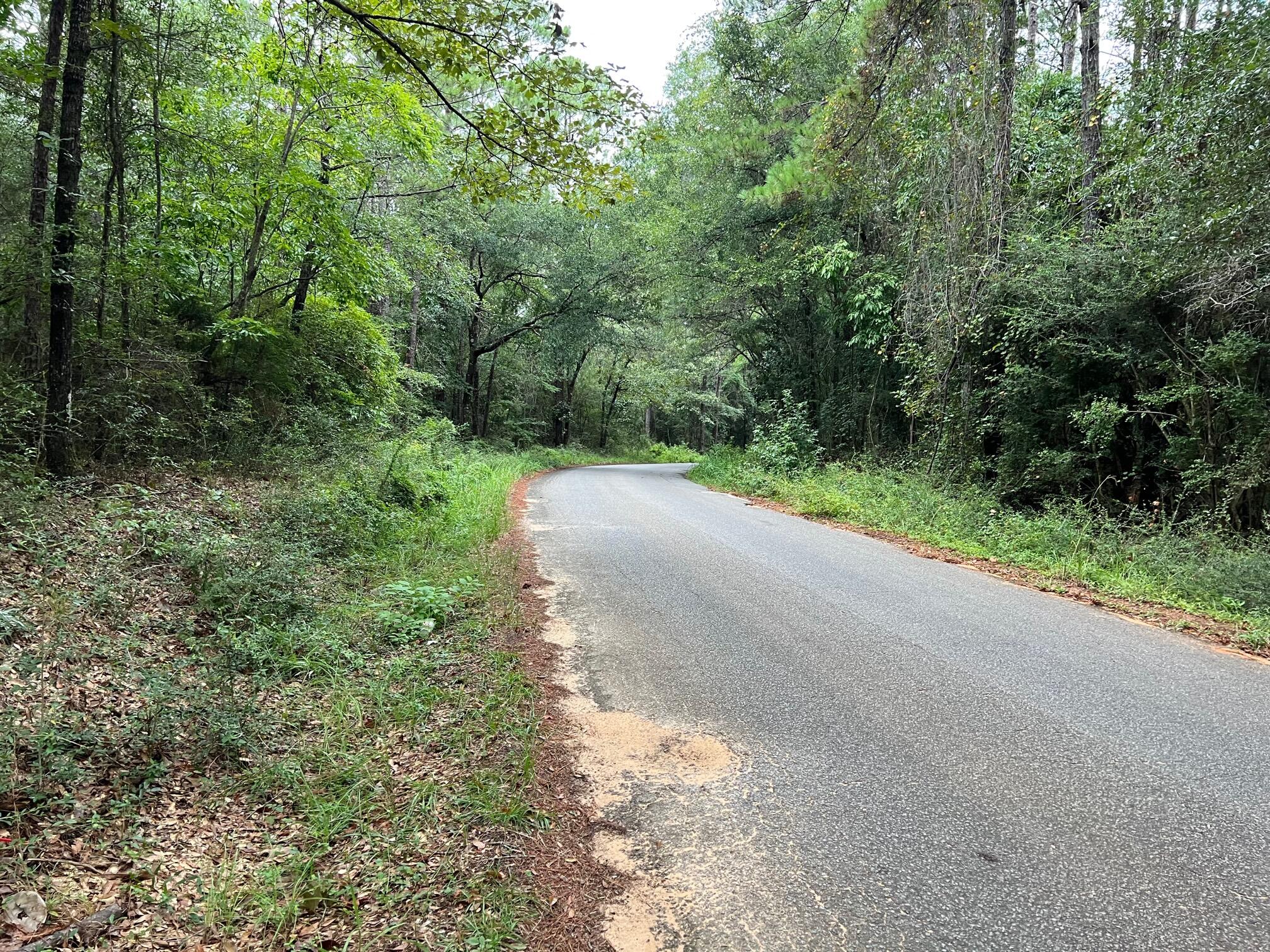 8.84-ac Crowder Chapel Road Crestview, FL 32539 - Photo 23 of 26 a view of a road with trees in the background