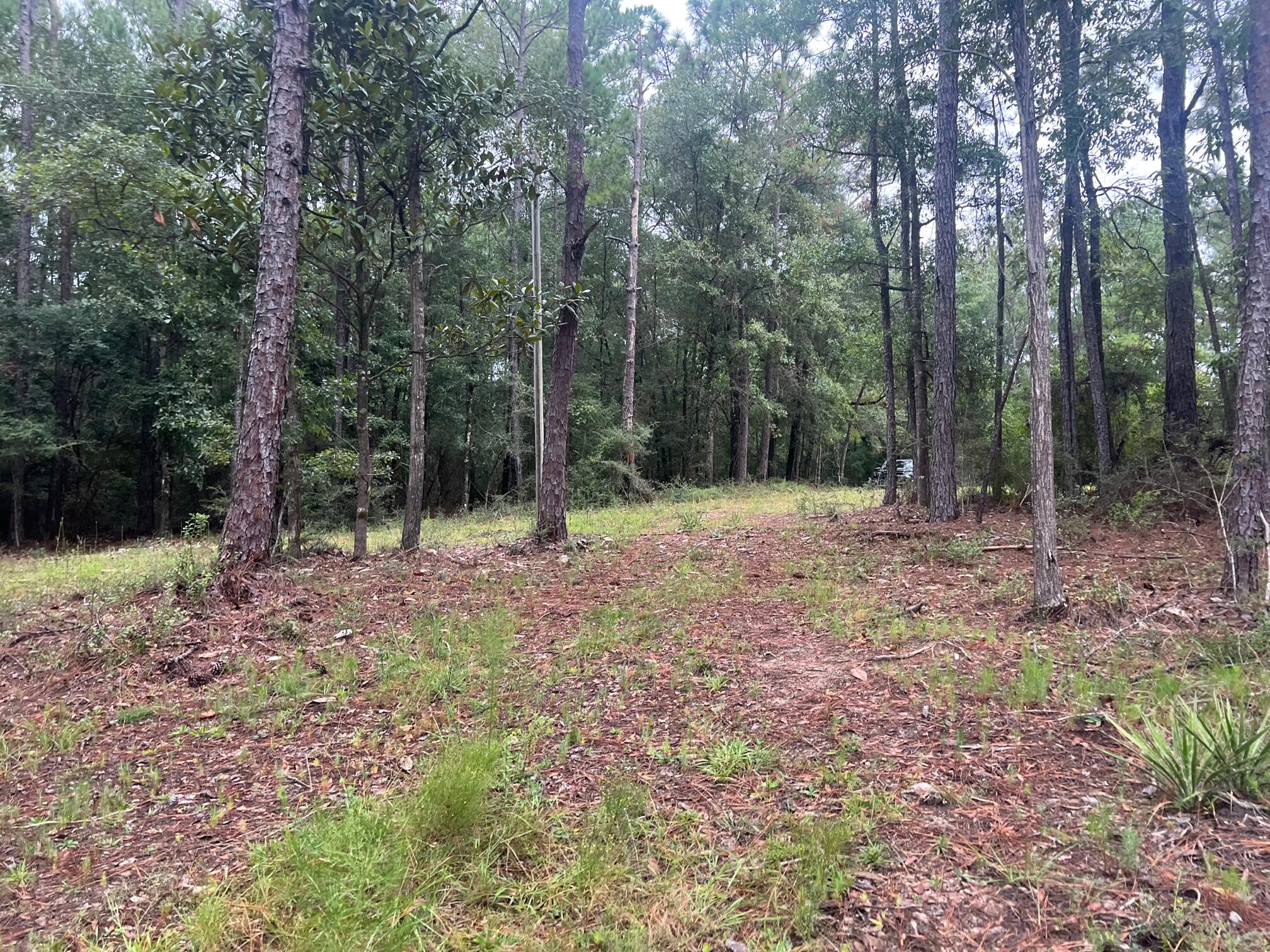 8.84-ac Crowder Chapel Road Crestview, FL 32539 - Photo 10 of 26 a backyard of a house with lots of green space