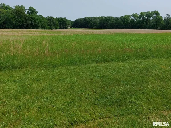 $30,000 | 0 Summerview Drive, Mount Vernon, IL 62864