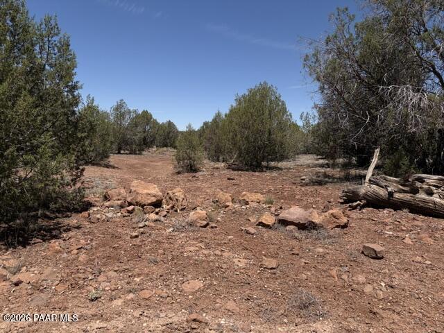 356 D Sierra Verde Ranch Seligman, AZ 86337 - Photo 6 of 9 a view of a dirt road with trees