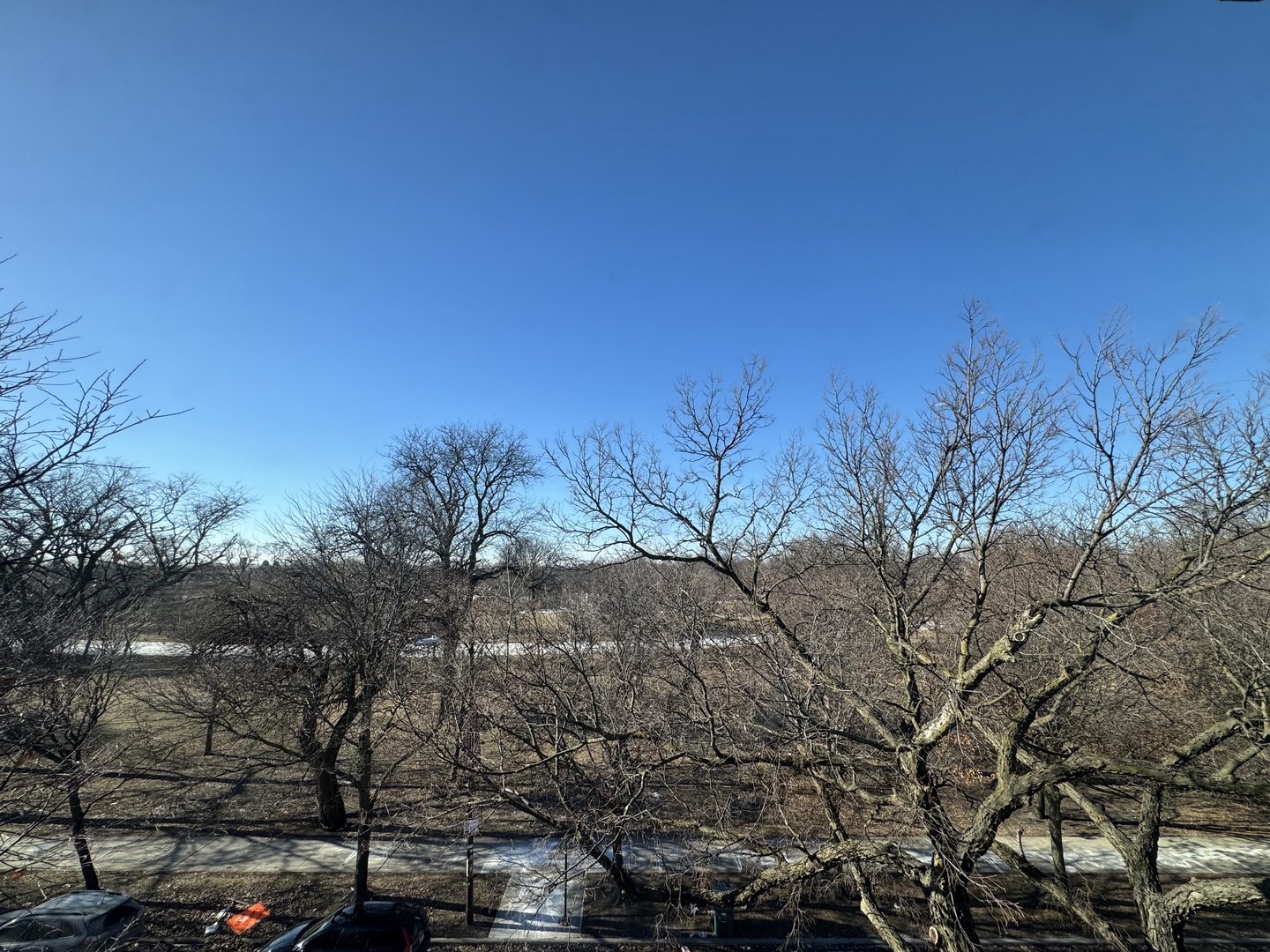 1303 South California Avenue, Unit 4W Chicago, IL 60608 - Photo 11 of 12 a view of a city with lush green forest