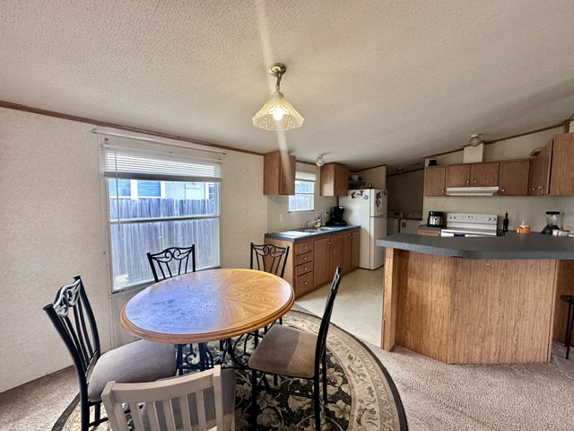 106 Ramirez Street Kyle, TX 78640 - Photo 10 of 19 Functional kitchen and dining area provides a practical and inviting space for daily meals.