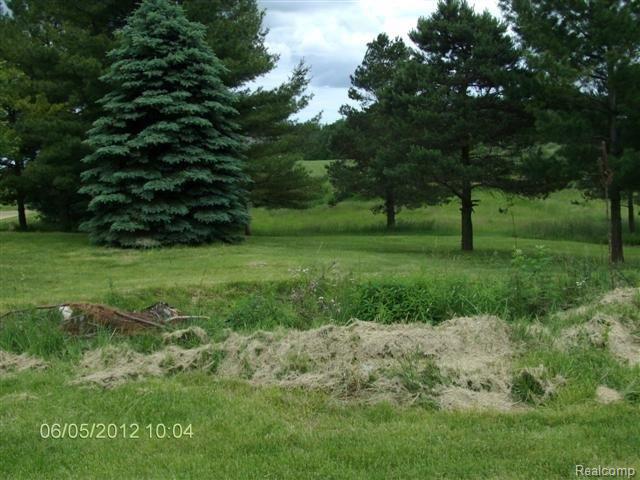 8423 Gosline Road Marlette, MI 48453 - Photo 9 of 10 yard.jpg