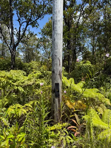 $22,000 | 11-1776 Wailele Street, Pahoa, HI 96778