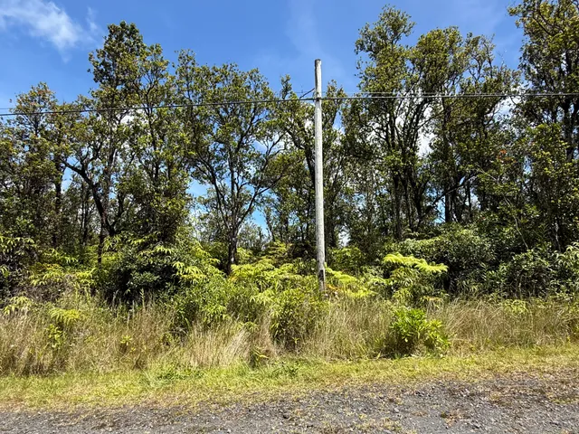 $22,000 | 11-1776 Wailele Street, Pahoa, HI 96778