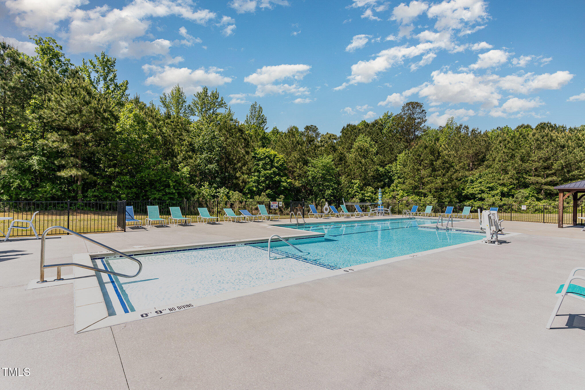 1314 Catch Fly Lane Durham, NC 27713 - Photo 27 of 31 a view of a swimming pool with an outdoor seating