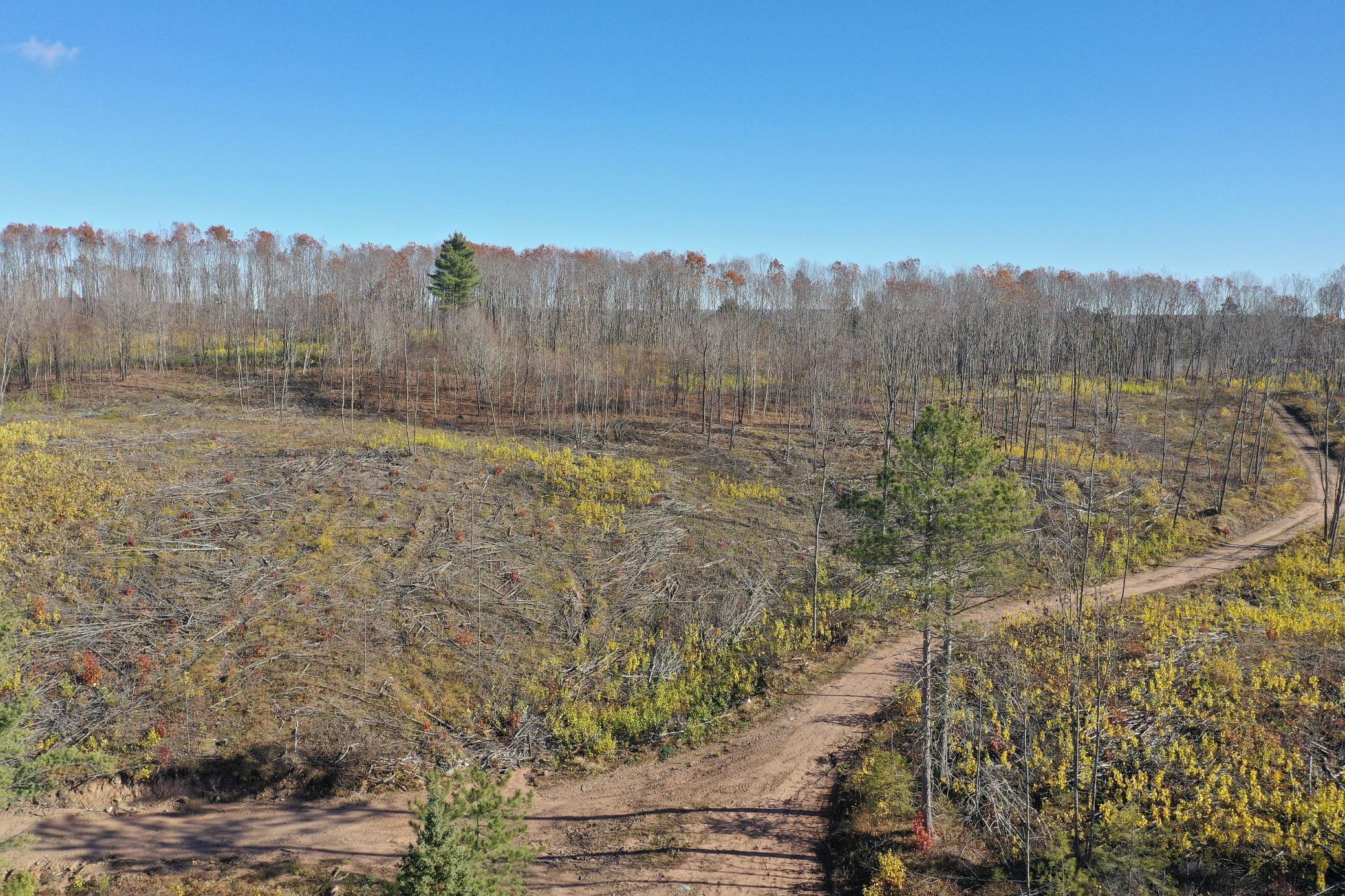 Tbd North Larsen Road Hayward, WI 54843 - Photo 15 of 36