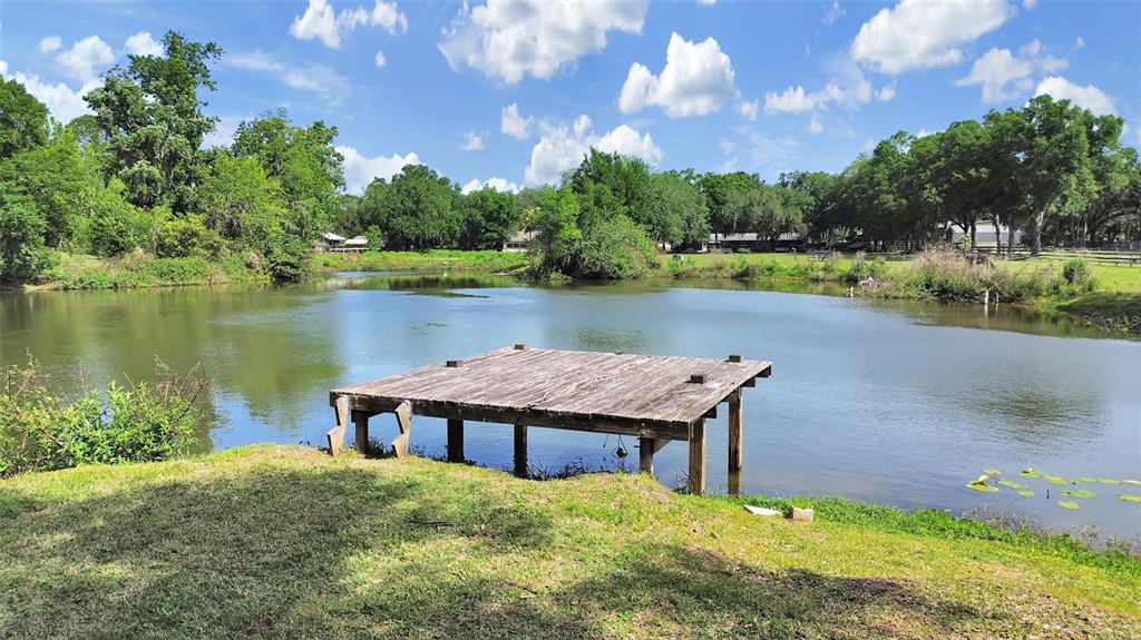 16810 Whirley Road Lutz, FL 33558 - Photo 17 of 47