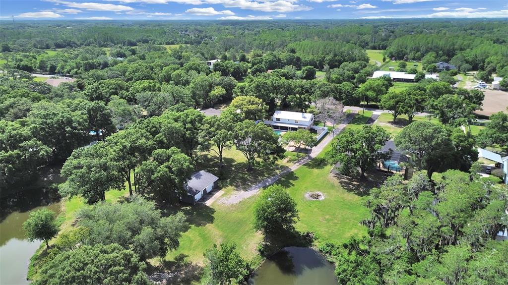 16810 Whirley Road Lutz, FL 33558 - Photo 19 of 47