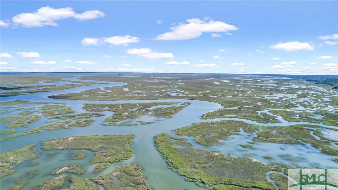 1009 Bobwhite Road Savannah, GA 31410 - Photo 4 of 50 What a view!