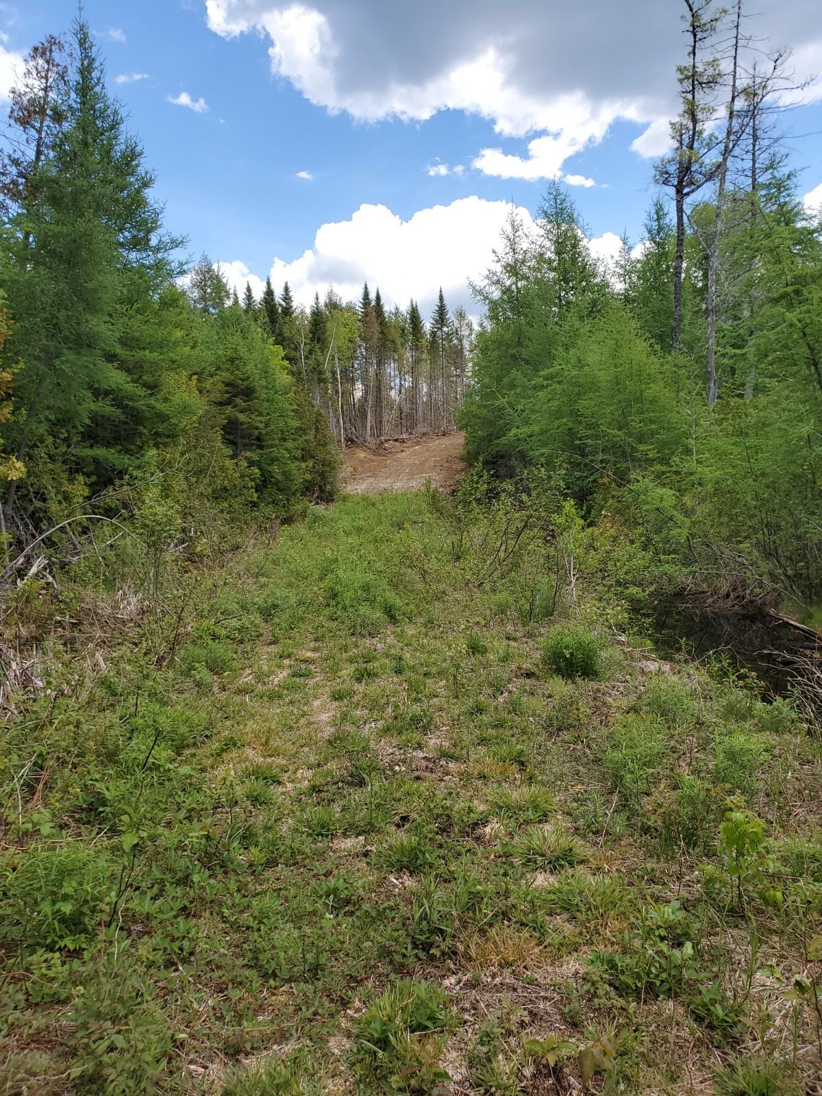 Lot M Hinch Road Wytopitlock, ME 04497 - Photo 11 of 16 20210602_124602