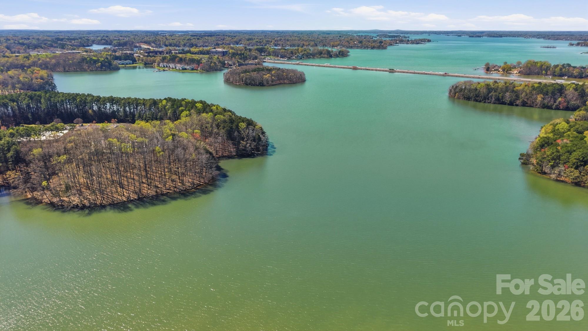 159 Lavender Bloom Loop Mooresville, NC 28115 - Photo 5 of 48 a view of a lake with a mountain in the background