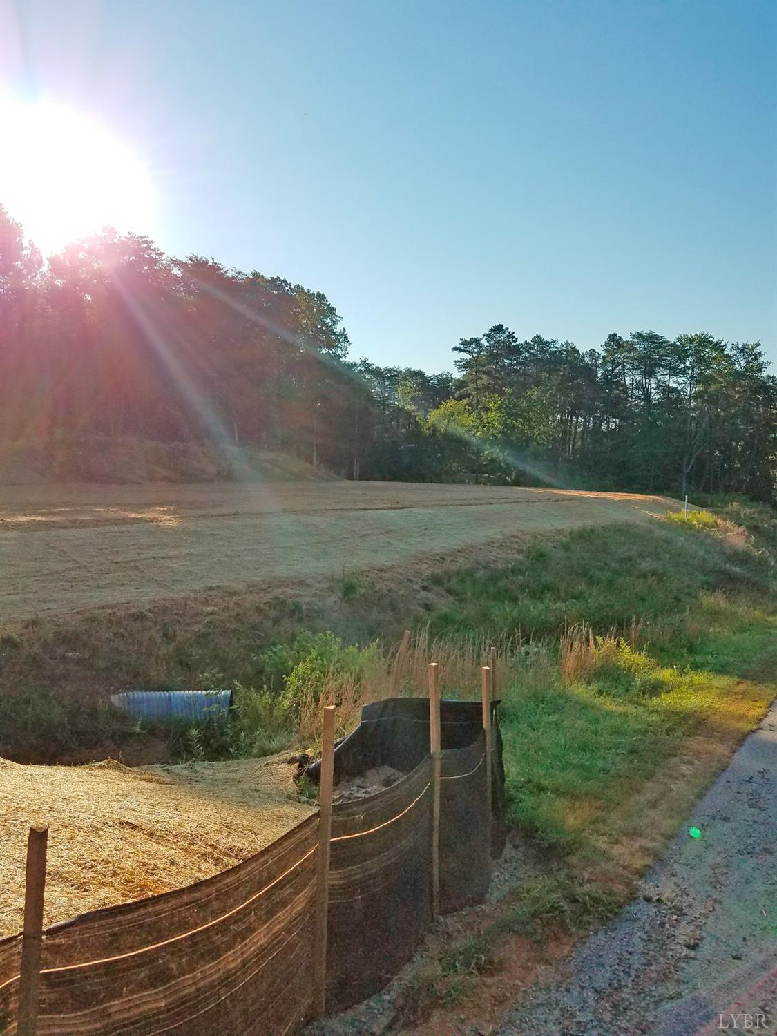 0 South Main Street Farmville, VA 23901 - Photo 3 of 5