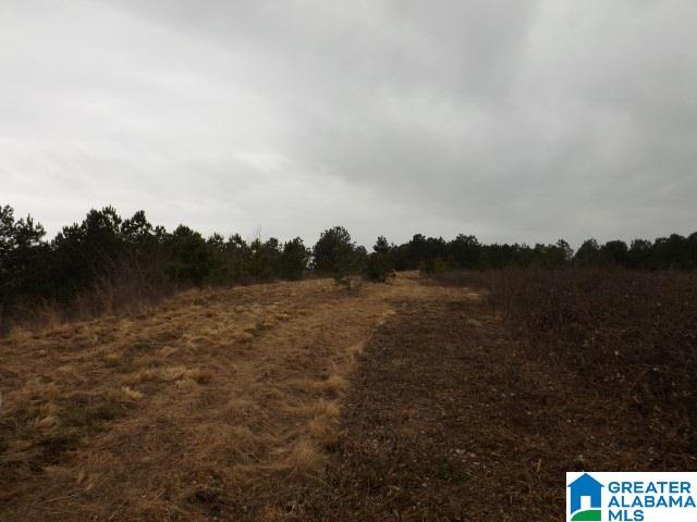 29 Highway Ac Al, Unit 33 Oneonta, AL 35121 - Photo 7 of 23