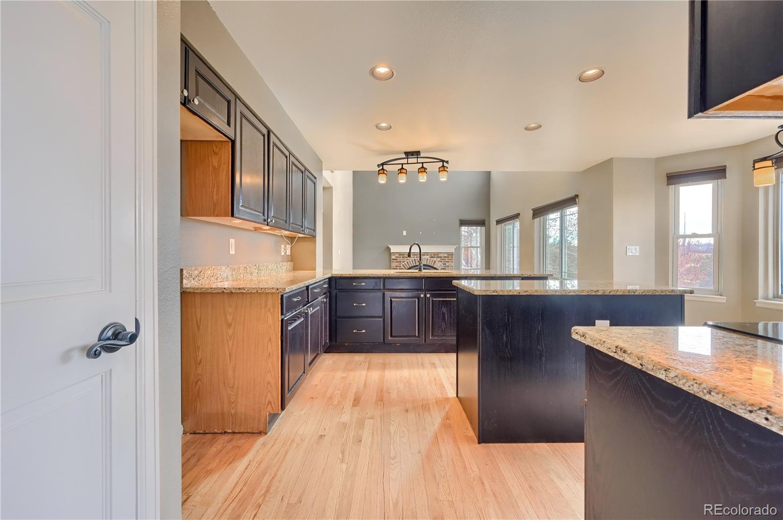 9897 Spring Hill Lane Highlands Ranch, CO 80129 - Photo 4 of 40
