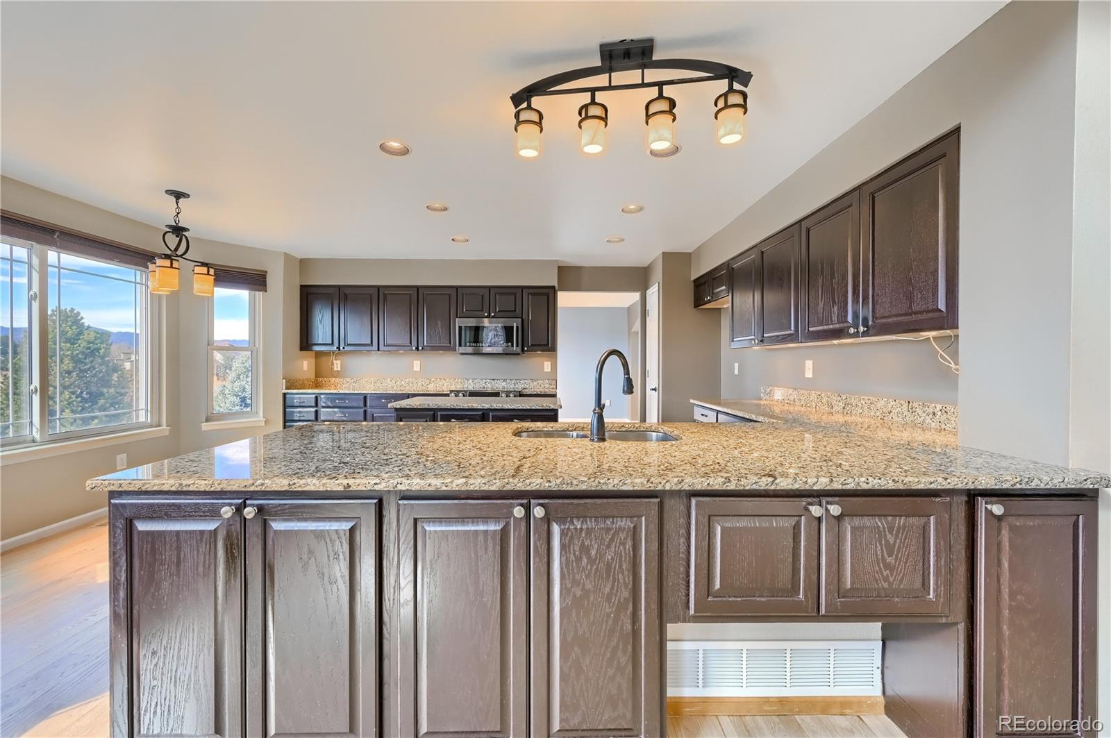 9897 Spring Hill Lane Highlands Ranch, CO 80129 - Photo 6 of 40