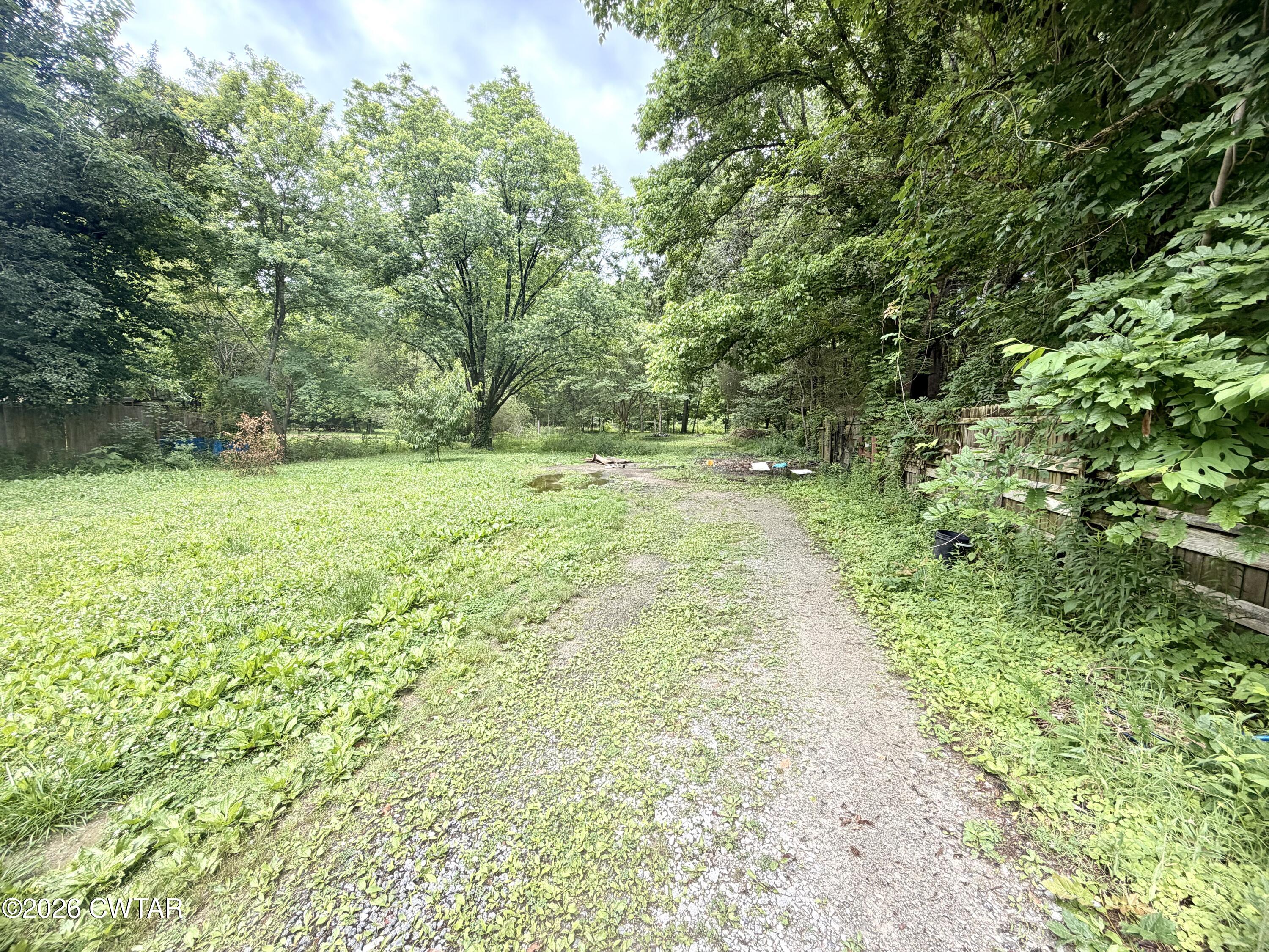 117 Lower Brownsville Road Jackson, TN 38301 - Photo 3 of 3 a view of a yard with a tree