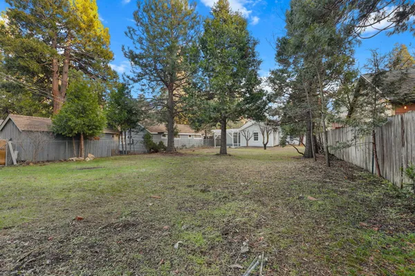 a view of a yard with tree s