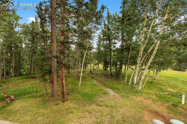 50 Worley Road Divide, CO 80814 - Photo 33 of 47 Gallery Image 33