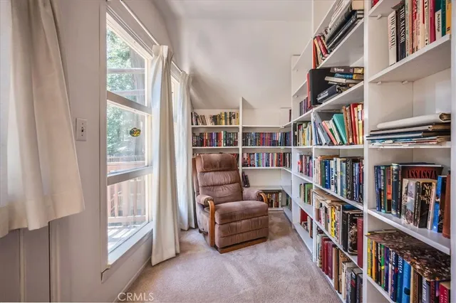 a living room with furniture book shelf and a book shelf