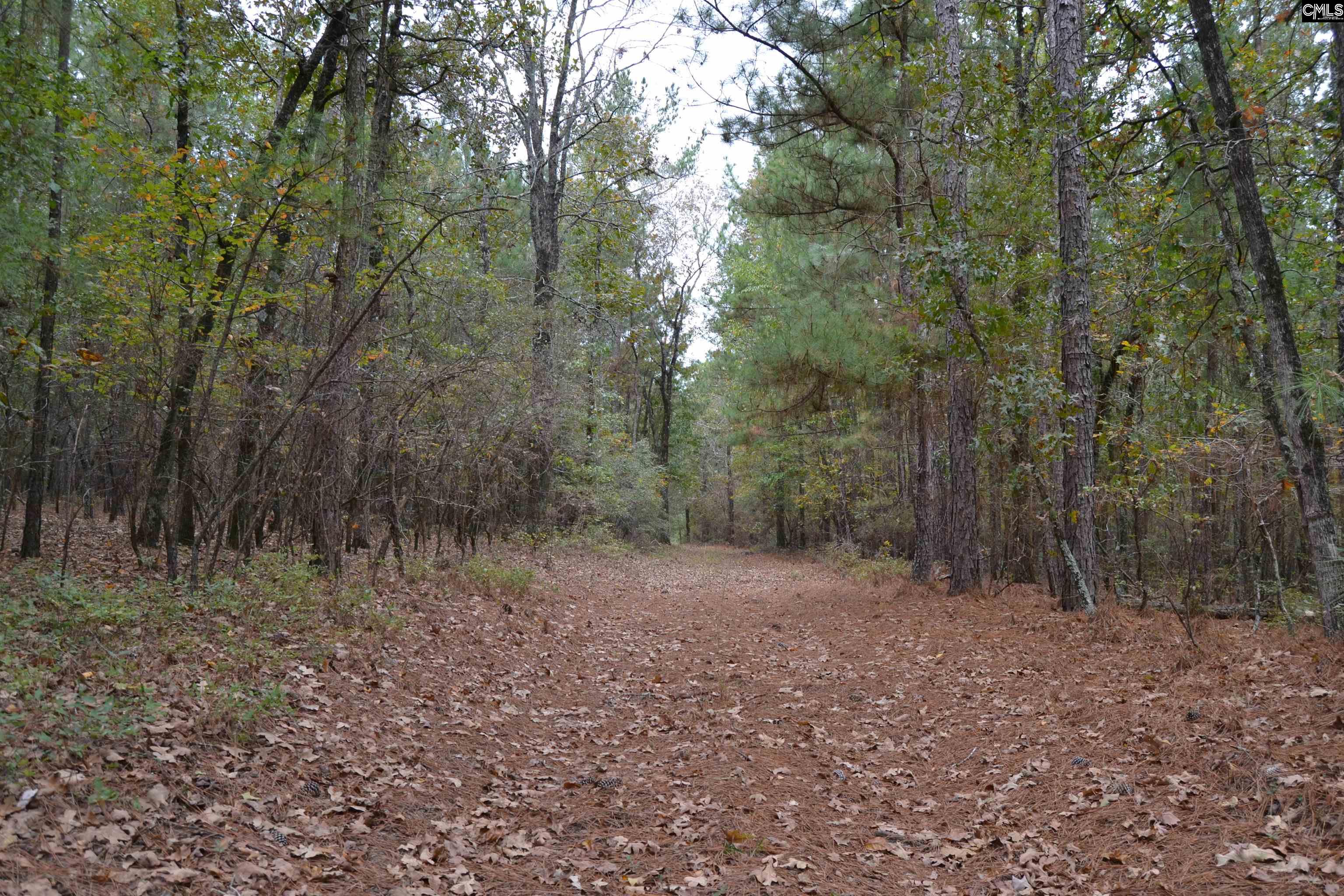 477 Thor Road Pelion, SC 29123 - Photo 10 of 21