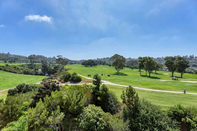 a view of a grassy field with trees