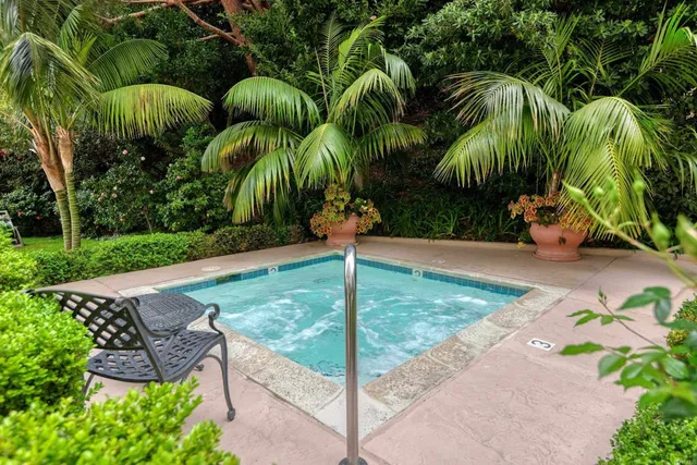 a view of a backyard with plants and palm trees