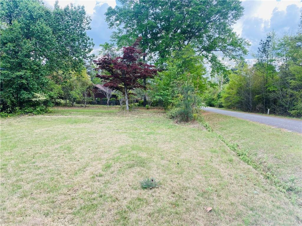 51 Forest Road Lumpkin, GA 31815 - Photo 54 of 64