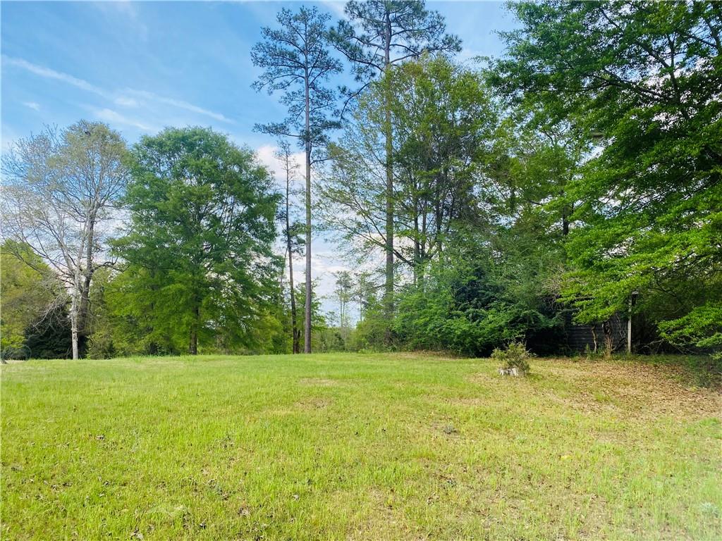 51 Forest Road Lumpkin, GA 31815 - Photo 60 of 64