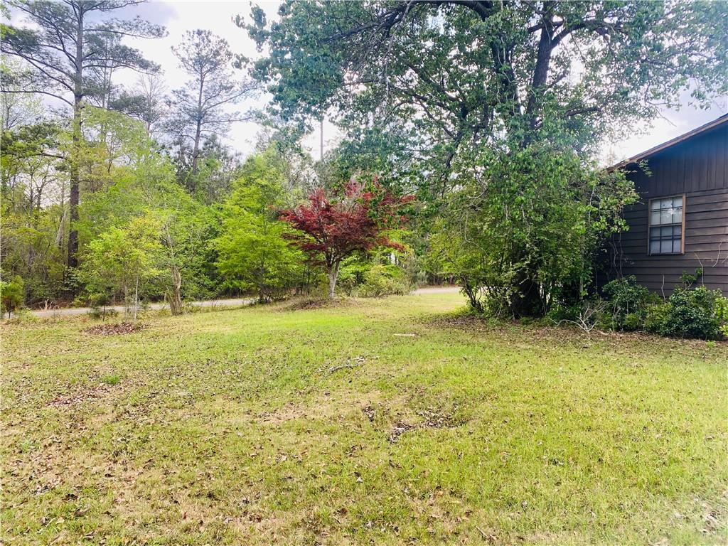 51 Forest Road Lumpkin, GA 31815 - Photo 61 of 64