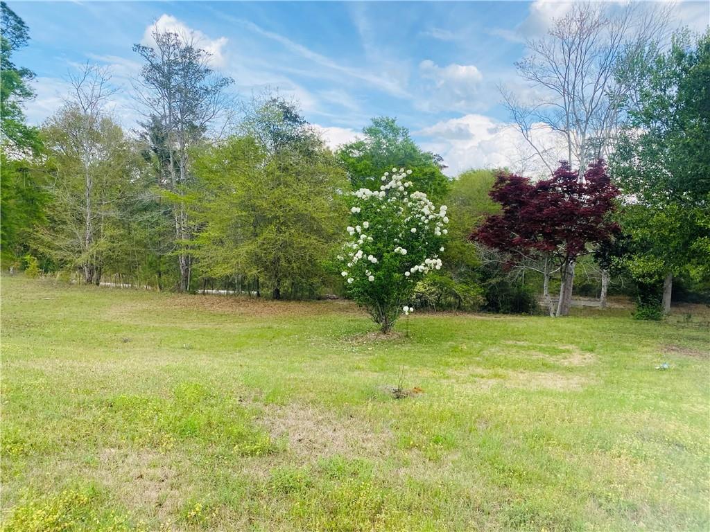 51 Forest Road Lumpkin, GA 31815 - Photo 63 of 64