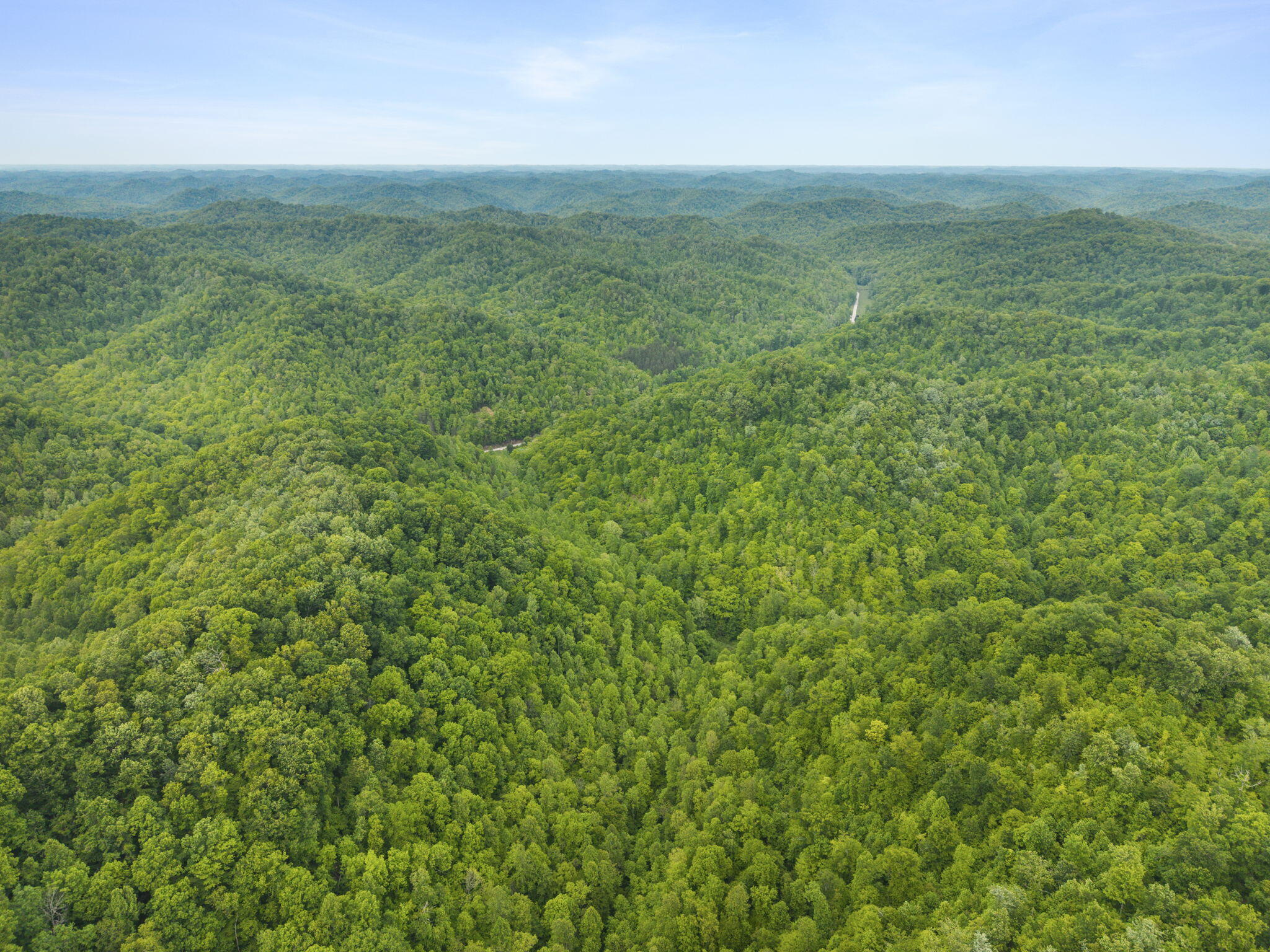 0 Jetts Creek Road Jackson, KY 41339 - Photo 29 of 31 29-web-or-mls-DJI_20260505154430_0080_D