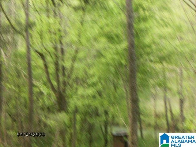Pendley Creek Road, Unit 7 Carbon Hill, AL 35549 - Photo 7 of 10