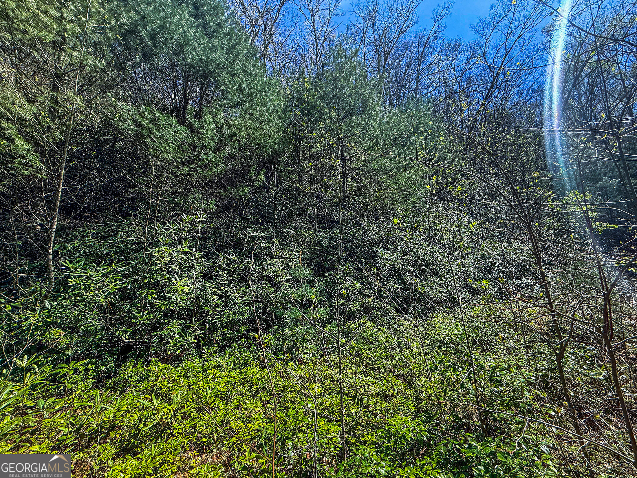 5 Outback Lane Rabun Gap, GA 30568 - Photo 1 of 7 Gallery Image 1