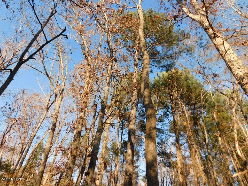 26.89 Bynum Farm Road Pinetops, NC 27864 - Photo 23 of 43 23 (1024x768)