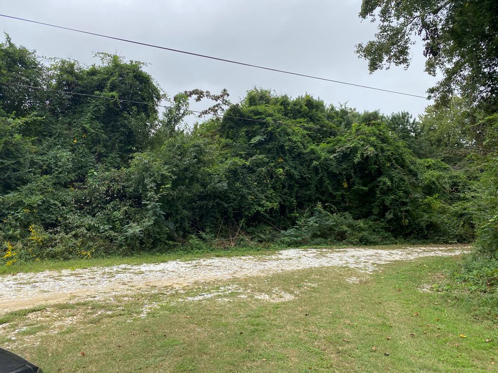 Lot B4 Big Pine Road, Unit B4 Painter, VA 23420 - Photo 1 of 2