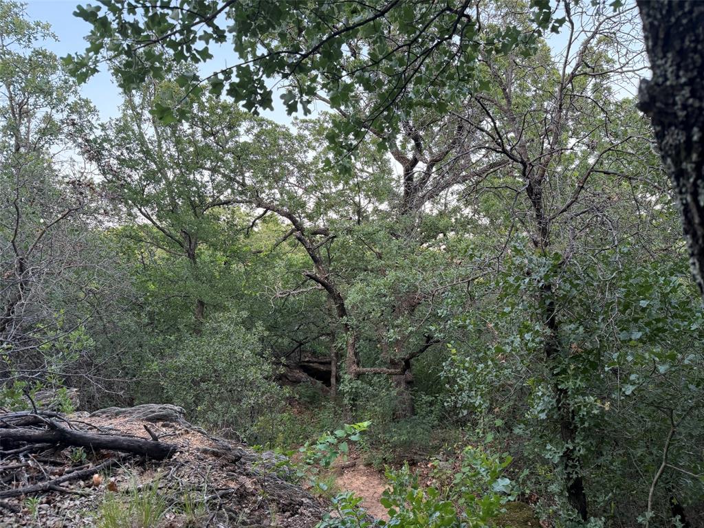 150 Timberidge Lake Road Graham, TX 76450 - Photo 21 of 25 a view of a forest with trees
