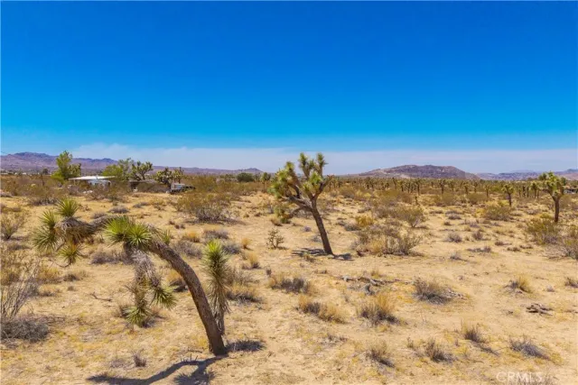 a view of a city with an ocean