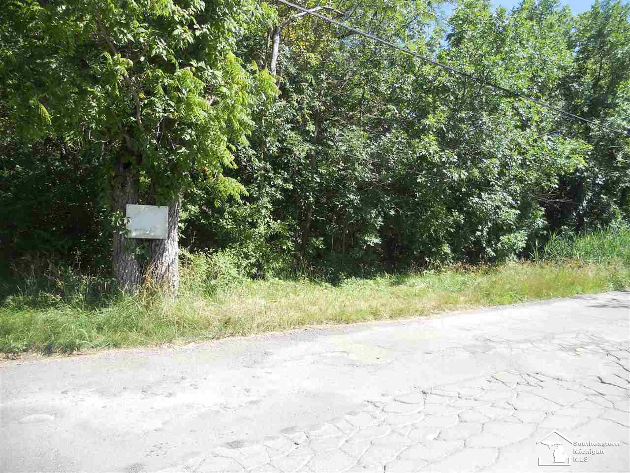 0 West River Road Grosse Ile, MI 48138 - Photo 1 of 3