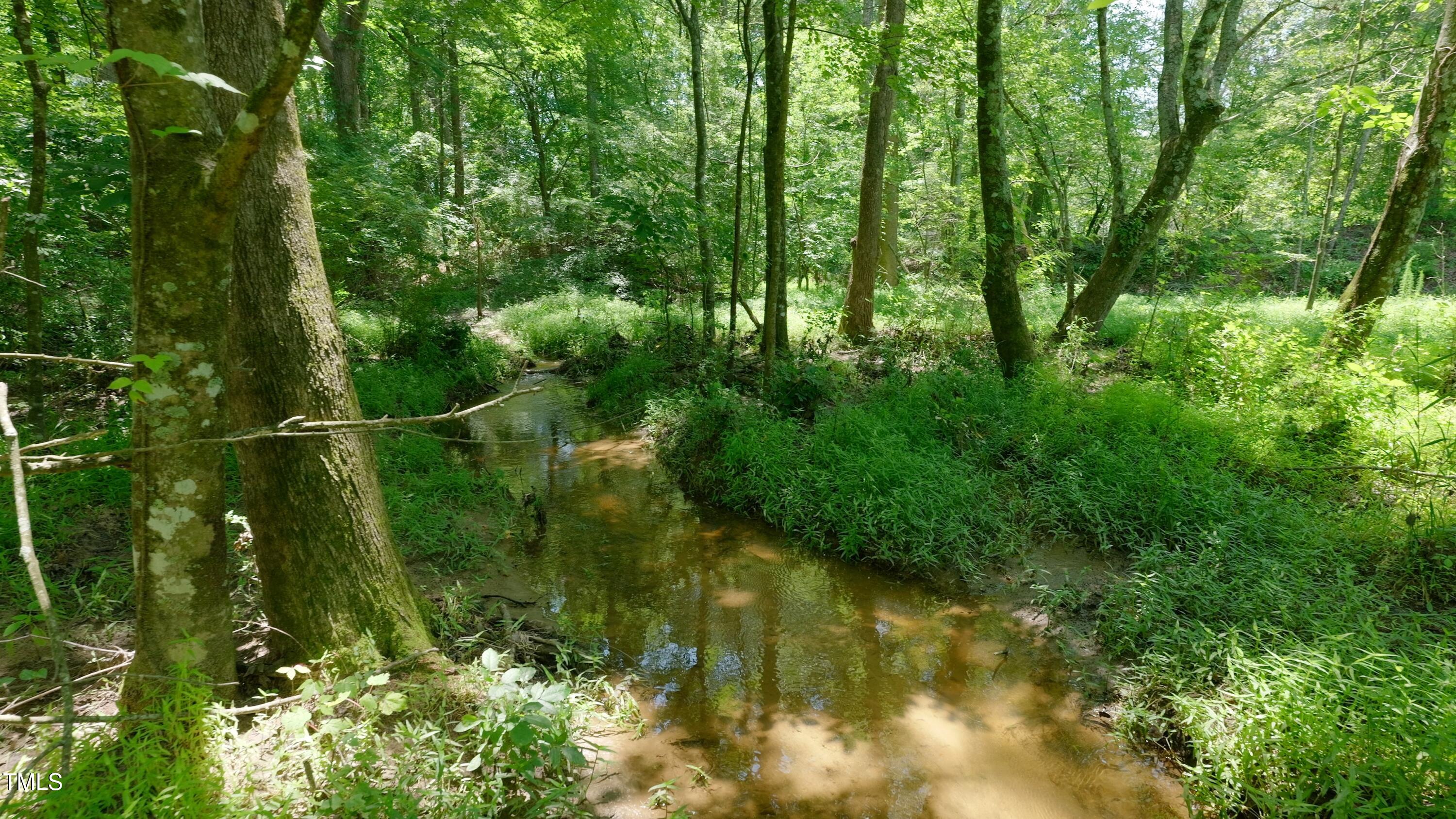 0 East Barefoot Road Newton Grove, NC 28366 - Photo 29 of 42 Newton Grove Still Photo26