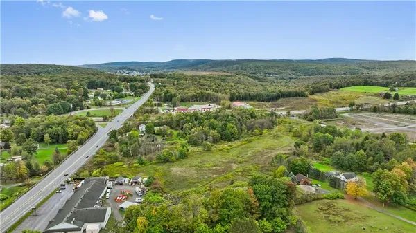 a view of a city with lush green forest