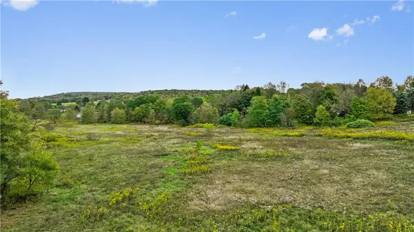 a view of a green field