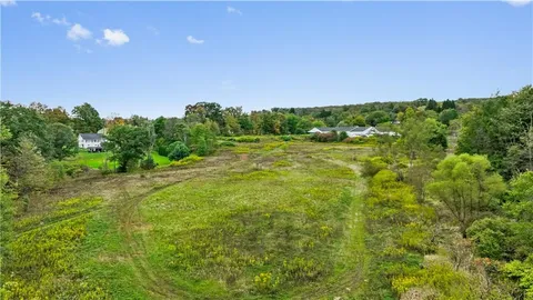 a view of a big yard with large trees