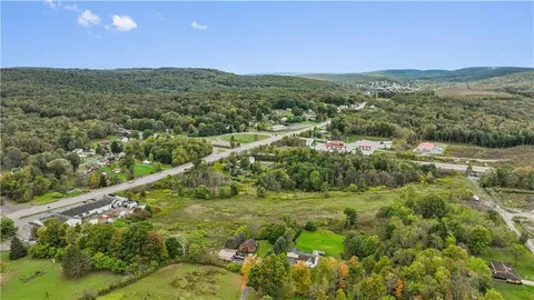 a view of a city with lush green forest