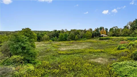 a view of a field of grass and trees