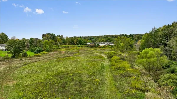 a view of a big yard with large trees