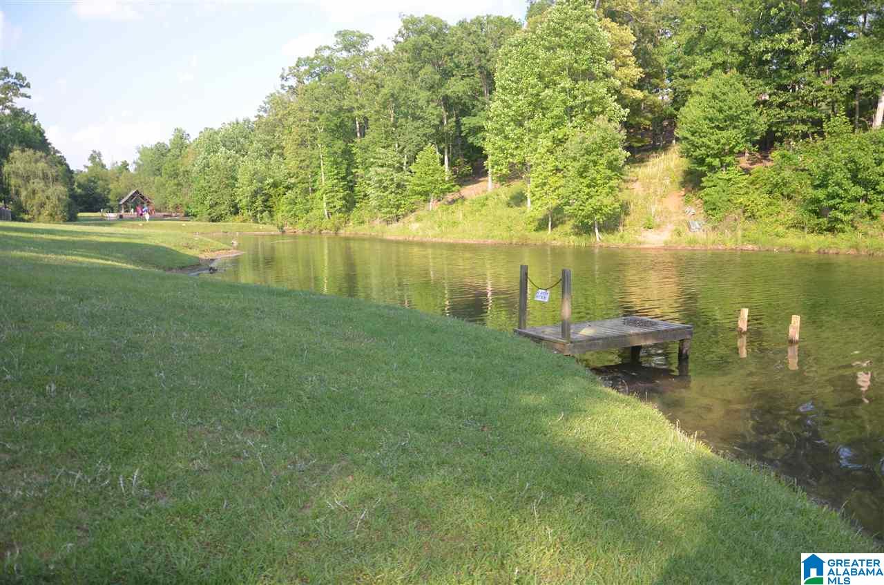 2836 Aster Lake Road Helena, AL 35022 - Photo 9 of 41